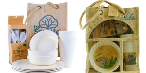 Target.online: EcoSouLife Bamboo Picnic Set for 4 Only $20.98 (Regularly $59.99)