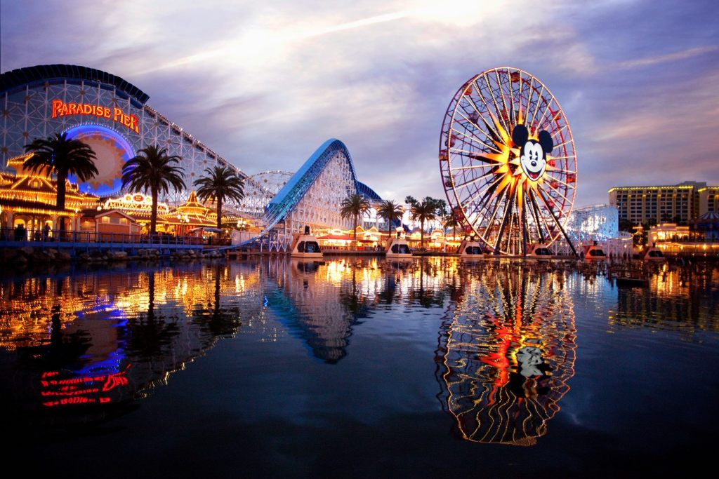 disney california adventure roller coaster and ferris wheel