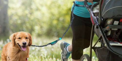 Amazon: Retractable Hands-Free Dog Leash Only $14.99