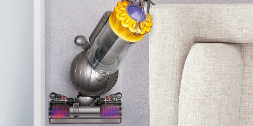 Dyson Ball OR V6 Motorhead Cordless Vacuum Just $134.99 (Factory Refurbished)