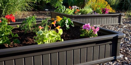 Lifetime 4′ x 4′ Raised Garden Bed Just $45.82 Shipped (Great Reviews)