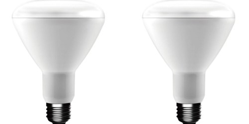 Home Depot: EcoSmart Dimmable LED Light Bulb 12-Pack Only $18.82 Shipped (Regularly $27) & More