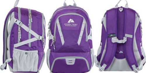 Walmart: Ozark Trail Day Pack Only $14.99 (Regularly $28) – Hydration Pack onlinepatible