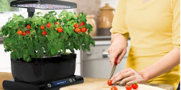 AeroGarden Harvest Wi-Fi w/ Herb Seed Pod Kit as Low as $79.99 Shipped (Regularly $180)