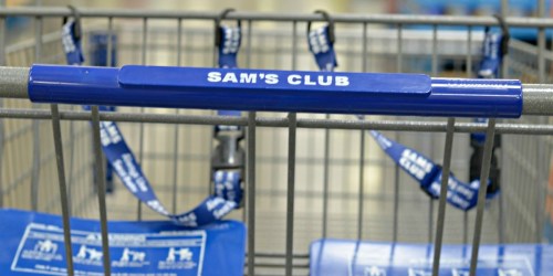 Sam’s Club One-Day Sale Preview (November 11th Only)