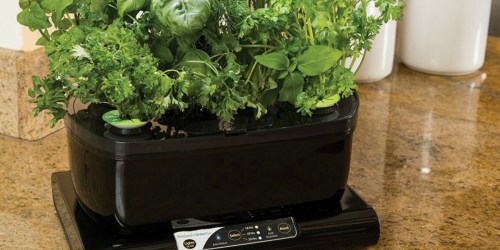 Kohl’s Cardholders: Miracle-Gro LED AeroGarden $69.99 Shipped AND Get $10 Kohl’s Cash