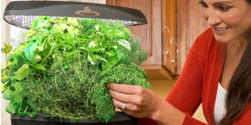 Home Depot: AeroGarden Classic w/ Gourmet Herbs Seed Kit ONLY $59.98 (Regularly $90)