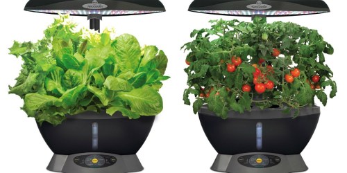 Miracle-Gro AeroGarden Smart Garden w/ Seed Starting System $79.95 Shipped (Regularly $200)