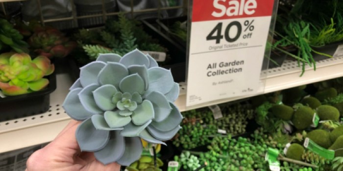 Almost 50% Off Artificial Plants at Michaels (Succulents, Cactus, Bamboo & More)