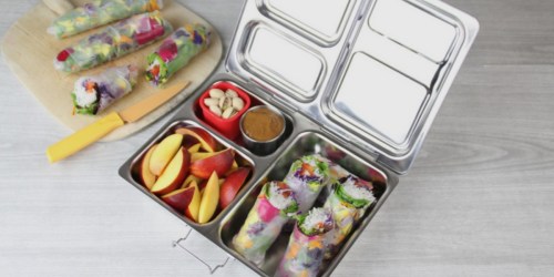 PlanetBox: RARE 18% Off Launch Lunchboxes (Awesome Reviews)