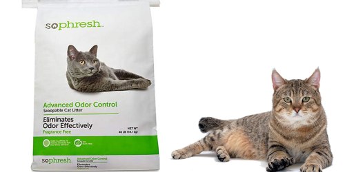 Petco.online: Advanced Odor Control Cat Litter 40-Pound Bag Just $6.99 Shipped (Regularly $13)