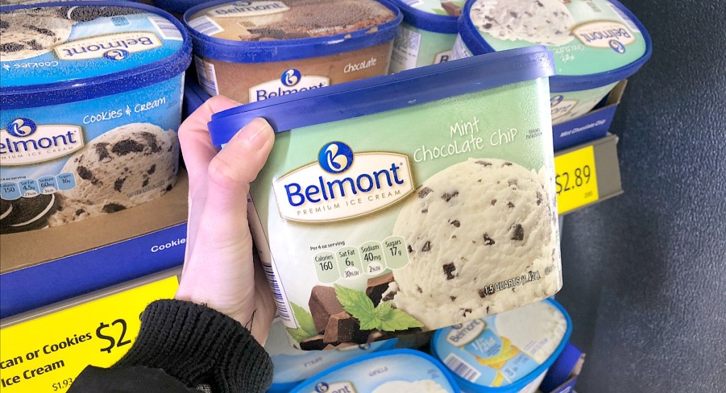 aldi belmont mint chocolate chip ice cream