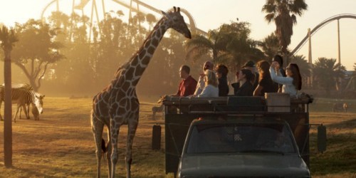 Up to 40% Off Multi Park Tickets to Busch Gardens, SeaWorld Orlando, Adventure Island & Aquatica