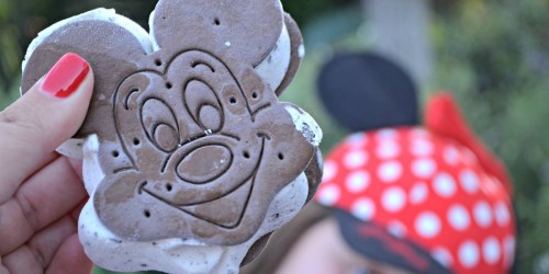 FREE Disney Dining Plan with Purchase of Vacation Package (Must Book by February 10th)