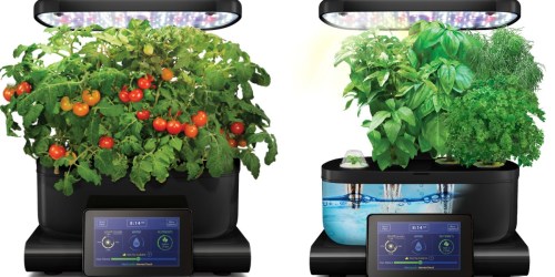 AeroGarden Harvest Touch with Gourmet Herbs Kit Just $99.99 Shipped (Regularly $200)