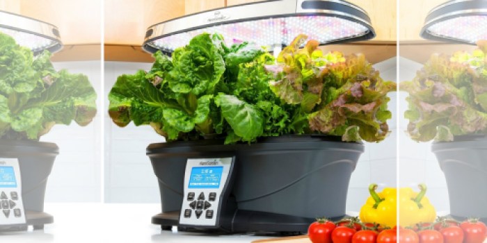 AeroGarden Ultra LED w/ Gourmet Herb Seed Pod Kit ONLY $139.95 Shipped (Regularly $240)