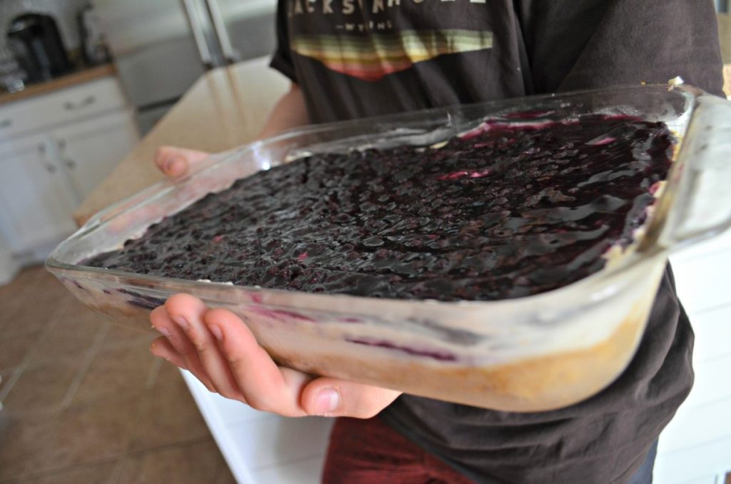 holding a blueberry cheesecake dessert