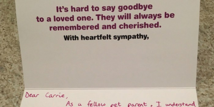 With Heartfelt Sympathy…