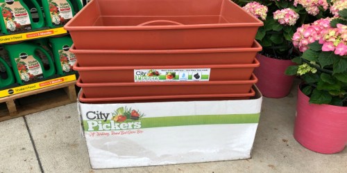 City Pickers Raised Garden Grow Kit Only $19.99 Shipped (Regularly $33)