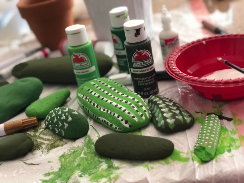 DIY Painted Rock Cactus Garden (Fun for the Whole Family!)