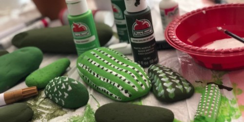 DIY Painted Rock Cactus Garden (Fun for the Whole Family!)