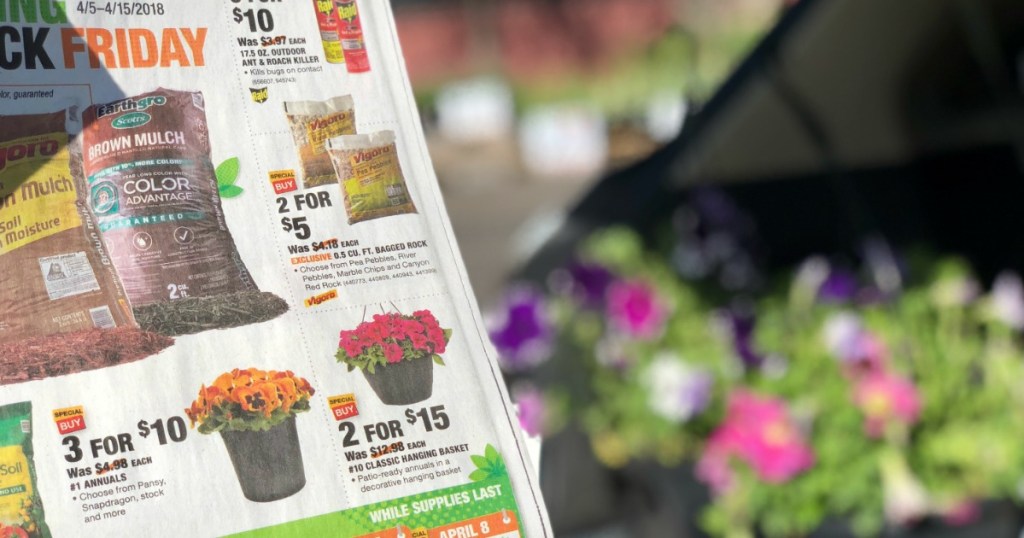 Home Depot Hanging Baskets