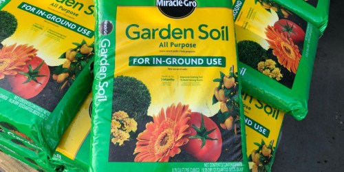 Home Depot Spring Black Friday Sale Starts April 5th (Huge Savings on Garden Soil, Plants + More)