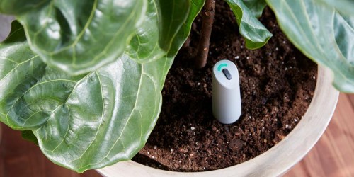 Home Depot: Up to 30% Off Smart Irrigation Equipment