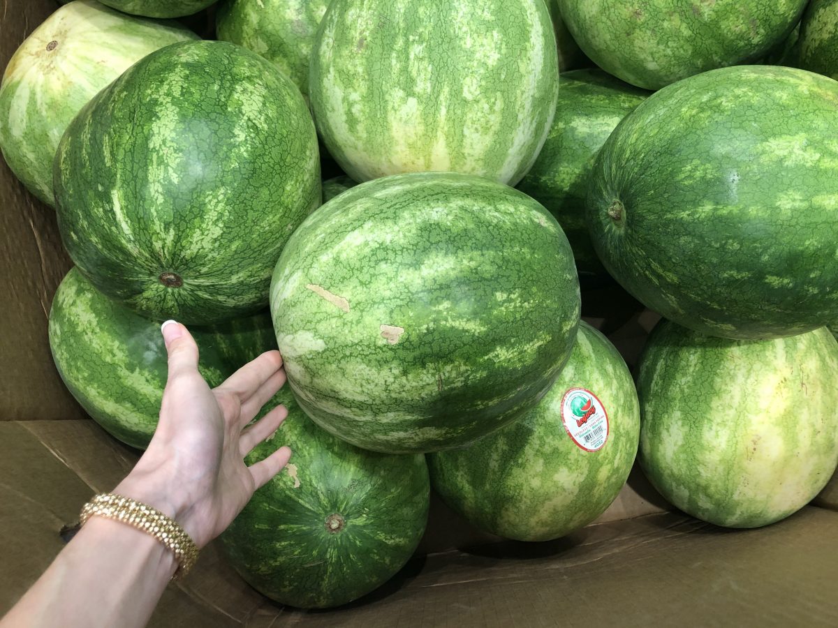 watermelon