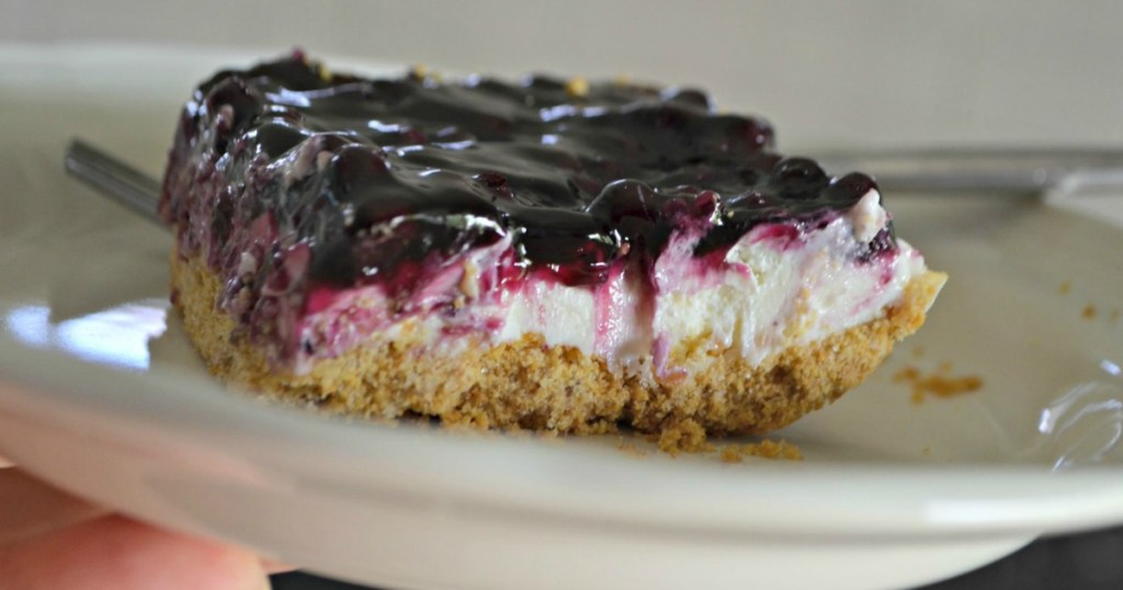 blueberry cheesecake dessert slice on white plate 