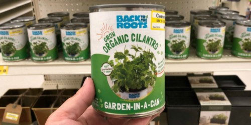 Target Clearance Find: 50% off Back to the Roots Garden-in-a-Can