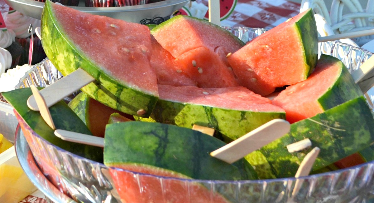 melon recall possible salmonella contamination – fresh melon on Popsicle sticks