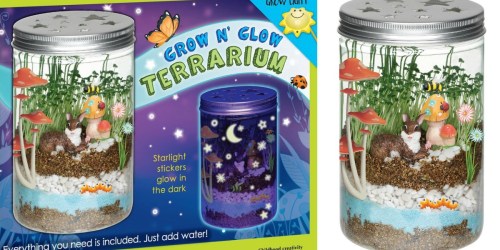 Creativity Kids Grow N’ Glow Terrarium ONLY $6 at Michaels (Regularly $15) – Today Only