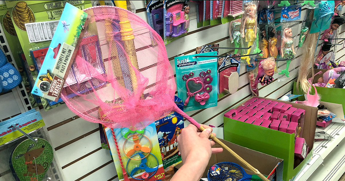 dollar tree pool supplies and fun hacks — butterfly net for the pool