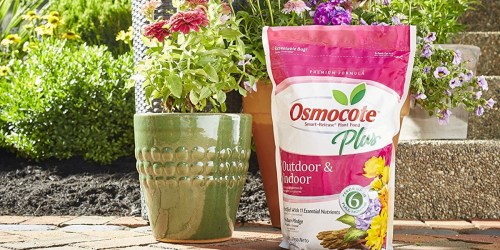 Osmocote Plus Plant Food 8-Pound Bag Only $11 Shipped on Amazon