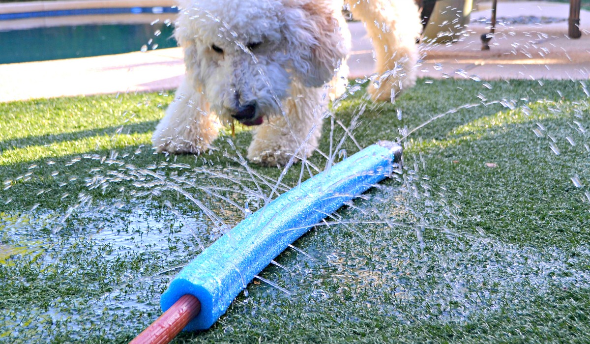 dollar tree pool supplies and fun hacks — pool noodle sprinkler hack