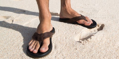 50% Off REEF Men’s Flip Flops at Bealls Florida