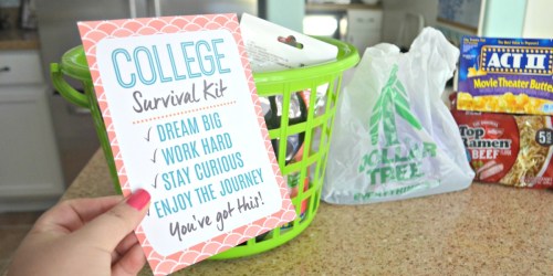 Dollar Tree DIY College Survival Kit & Free Printable Card