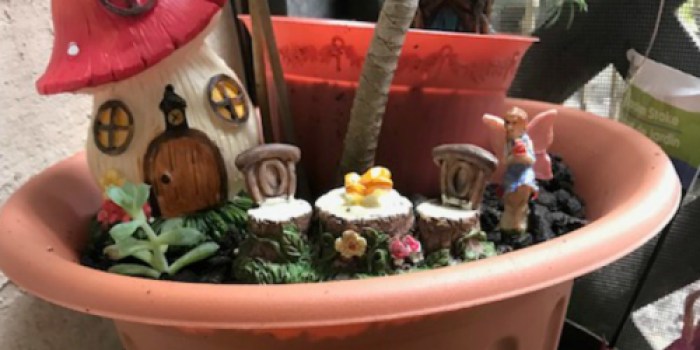 Summertime Calls for a Fairy Garden