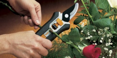 Walmart: Fiskars Softgrip Floral Pruning Shears Only $4.59 (Regularly $10+)