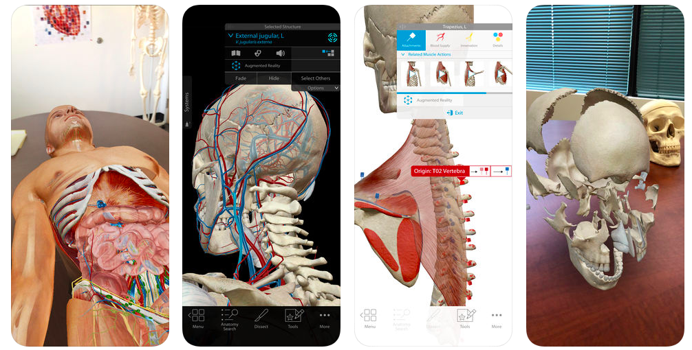 Human Anatomy App