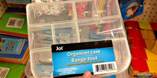 Organizer Cases Only $1 at Dollar Tree + Father’s Day Gift Idea