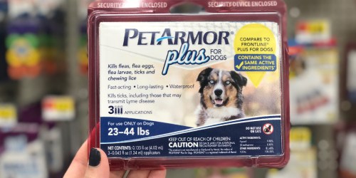 Keep Your Pets Protected From Fleas & Ticks All Summer Long w/ PetArmor Plus