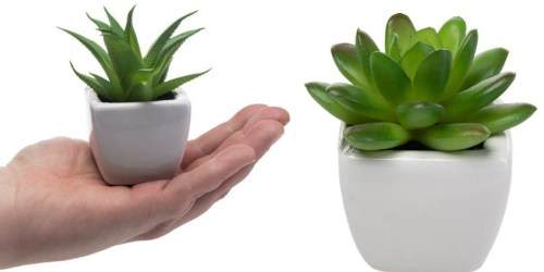 EIGHT Artificial Succulents In Ceramic Pots Just $16 Shipped (Only $2 Each)