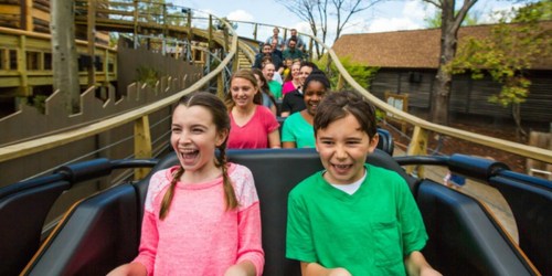 Busch Gardens Williamsburg Unlimited Summer Visits Only $45 (Regularly $90)