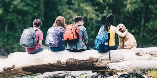 High Sierra Backpacks as Low as $14.99 Shipped (Regularly $50)