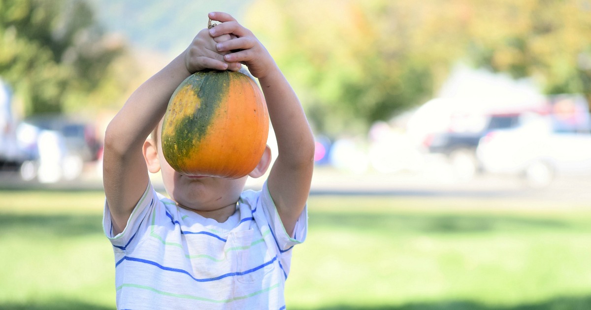 places for free fun fall activities — boy holding up pumpkin to face