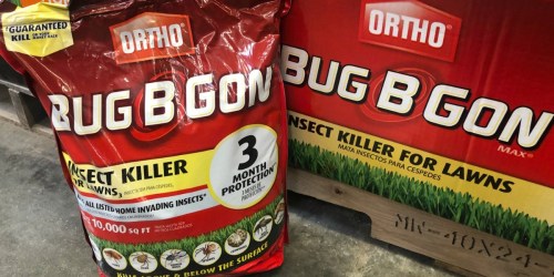 Ortho Bug-B-Gon Insect Killer Possibly Only $4.90 at Home Depot