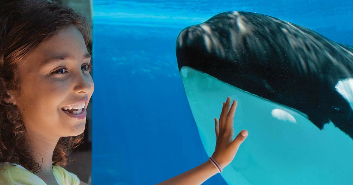 Girl with orca whale at Sea World