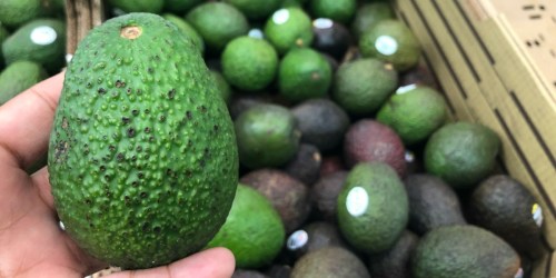 Rare $0.75/3 Avocados From Mexico Coupon